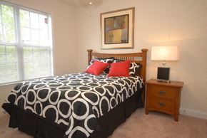 Durham apartment for rent - a bedroom with a black and white bed with red pillows