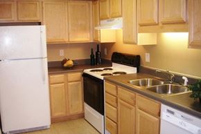 Durham apartment for rent - a kitchen with a stove refrigerator and sink