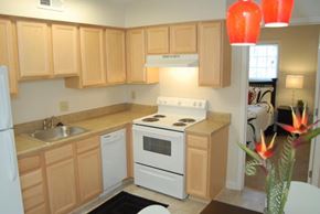 Durham apartment for rent - a kitchen with a stove and a sink