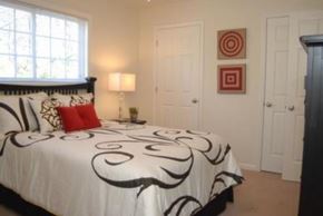 Durham apartment for rent - a bedroom with a black and white bed and a window