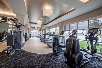 Gym section