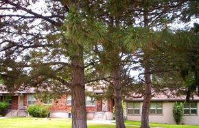 Caldwell apartment for rent - College Park Apts with Mature Trees