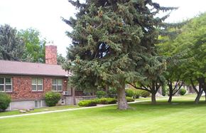 Caldwell apartment for rent - College Park Lawn and Mature Trees