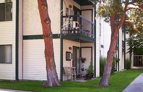 Boise apartment for rent - Patios with mature trees