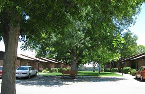 Kuna apartment for rent - Mature trees on the property