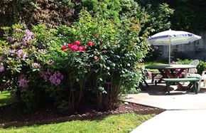 Lewiston apartment for rent - Garden area with table