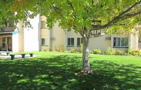 Payette apartment for rent - Lawn with mature tree and bench