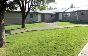 Pendleton apartment for rent - Yard with mature trees