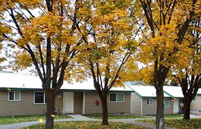Pendleton apartment for rent - Mature Trees