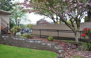Reedsport apartment for rent - a backyard with a tree and a fence
