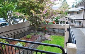 Reedsport apartment for rent - a balcony overlooking a yard with a tree and a fence