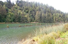 Reedport apartment for rent - a body of water with trees in the background
