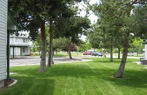 Nampa apartment for rent - landscaping and parking area