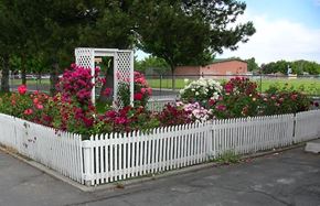 Twin Falls apartment for rent - rose bushes