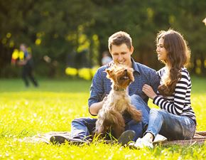 Elk Grove apartment for rent - A man and woman sitting on the grass with a dog.