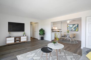 Belleville apartment for rent - A modern living room with a white coffee table and a black and white rug.