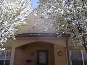 Missoula apartment for rent - Spring at Fireweed Court