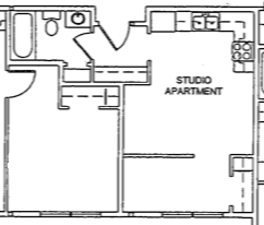 Floor plan for studio, 1 bath, 319 sqft