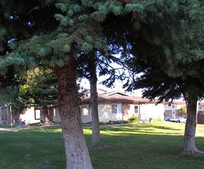 Helena apartment for rent - Mature trees on the property
