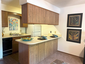 Rogers apartment for rent - a kitchen with a counter top and a refrigerator