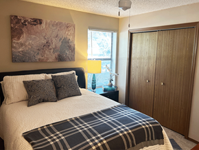 Rogers apartment for rent - a bedroom with a bed and a closet