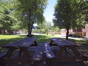 Rogers apartment for rent - a group of picnic tables in a park
