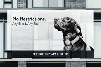 Pet friendly
