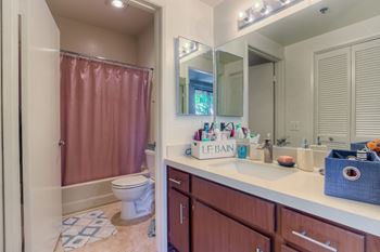 Updated bathrooms with new vanities and tile 