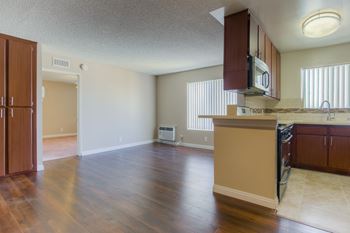 Kitchen with living area