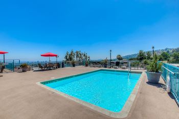 Sparkling rooftop pool