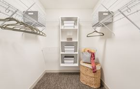 Brookfield apartment for rent - a spacious walk in closet with shelves and baskets and a basket in the corner of