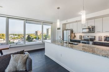 Granite  and quartz countertops