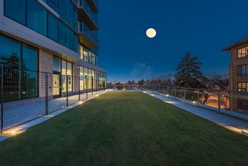 Roof-top yoga lawn