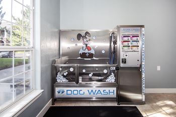 Paw spa with dog washing station