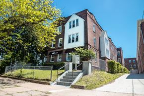 New Haven apartment for rent - A tree with yellow flowers is in front of a building.