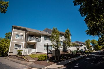 New Haven apartment for rent - A row of townhouses with trees and shrubs in front.