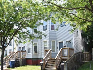 New Haven apartment for rent - A tree is in front of a grey building.