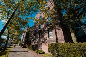 New Haven apartment for rent - A tree with yellow leaves is in front of a red brick building.