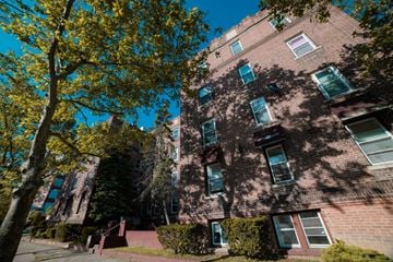 New Haven apartment for rent - A tall brick building with a tree in front of it.