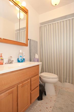 Oak Park apartment for rent - a bathroom with a shower curtain and a toilet