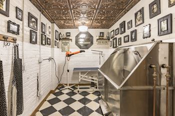 Pet wash station