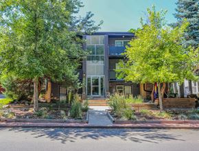 Denver apartment for rent - 1639 Race Apartments in Denver, Colorado