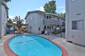 San Jose apartment for rent - A small pool in a courtyard surrounded by buildings.