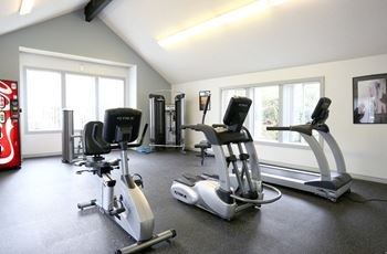 24-Hour multi-level cardio and weightlifting center