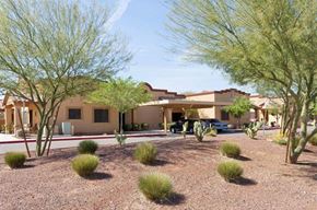 Avondale apartment for rent - a yard with trees and a house in the desert