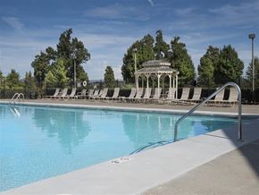 Springfield apartment for rent - the swimming pool at the resort on a sunny day