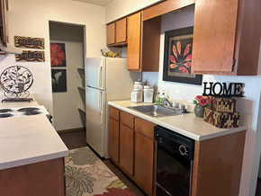 Bentonville apartment for rent - a kitchen with a sink and a refrigerator