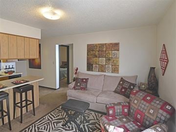 Joplin apartment for rent - a living room with a couch and a chair and a kitchen