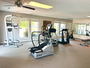 Rogers apartment for rent - the fitness room has plenty of cardio equipment in the home gym