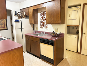 Rogers apartment for rent - a kitchen with a sink and a refrigerator